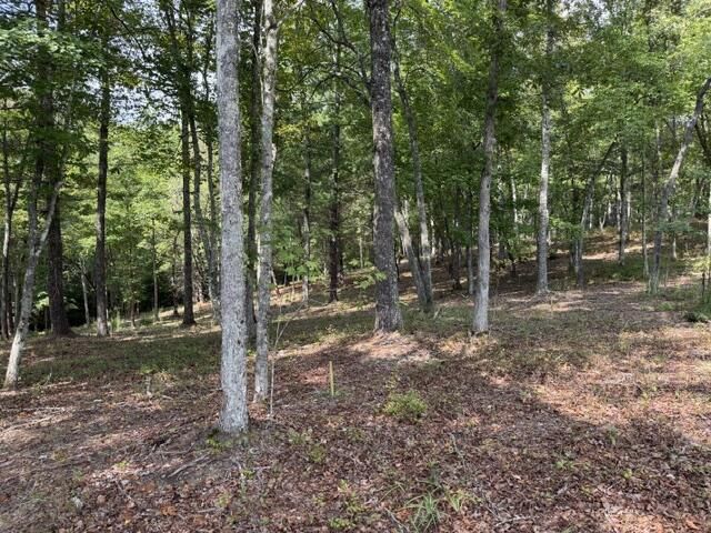 Lot 39 Tall Pine Trail, Mineral Bluff, GA 30559