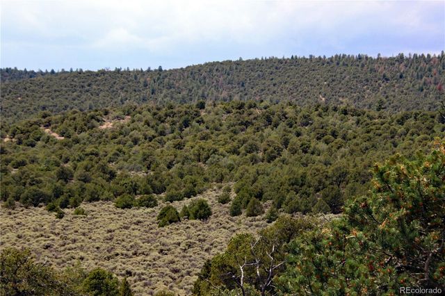 000 WHM Canyon, San Luis, CO 81152