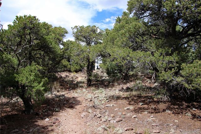 000 WHM Canyon, San Luis, CO 81152