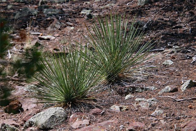 000 WHM Canyon, San Luis, CO 81152