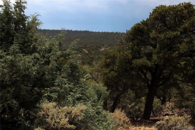 000 WHM Canyon, San Luis, CO 81152