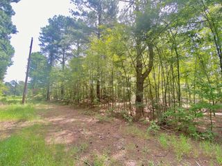 TBD Fm 861, Elkhart, TX 75839