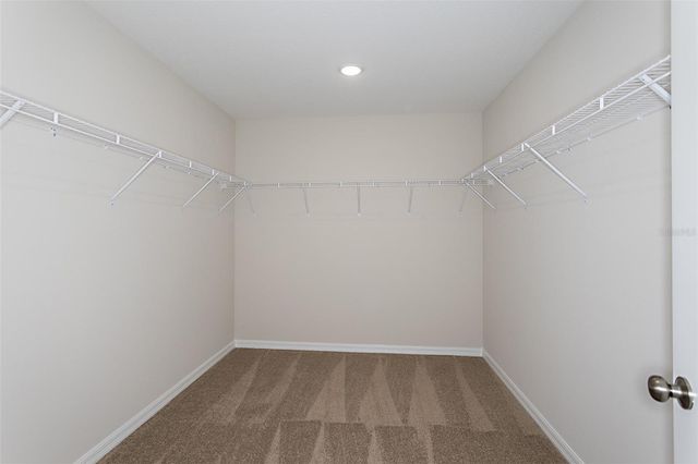 31682 BARONNE STREET, Wesley Chapel, FL 33545