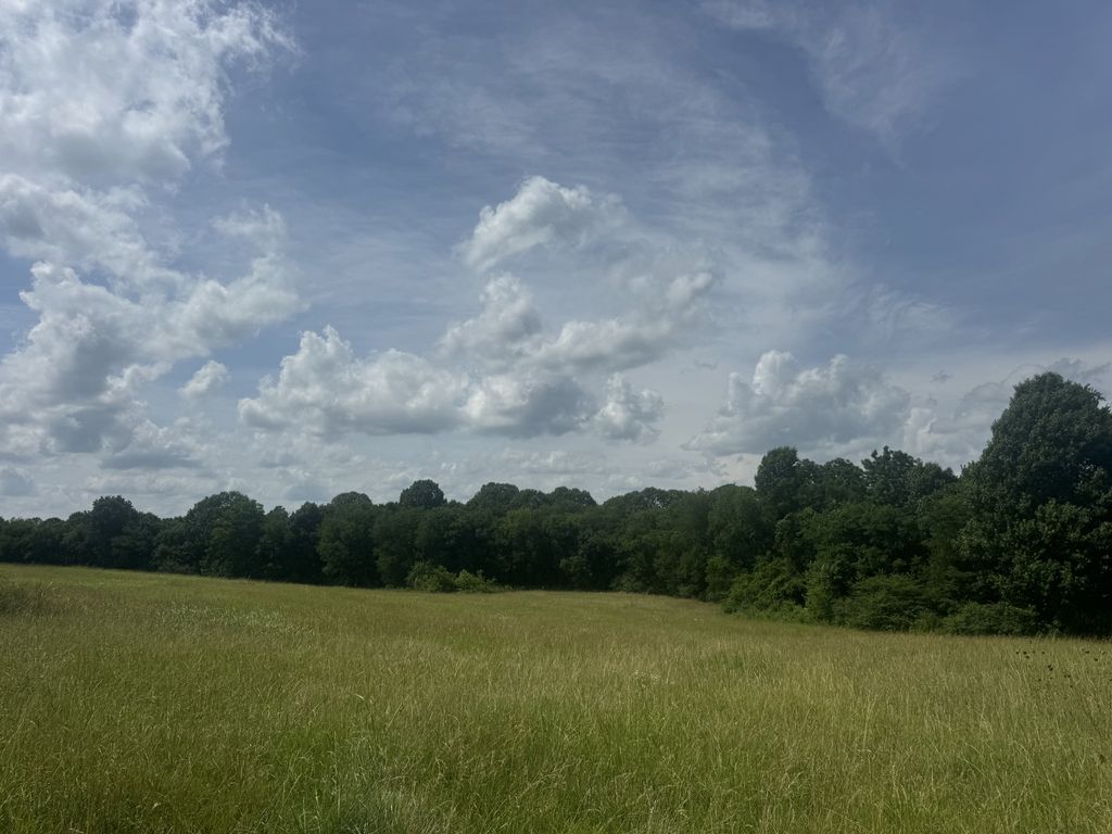 210 Wheel Rd, Shelbyville, TN 37160