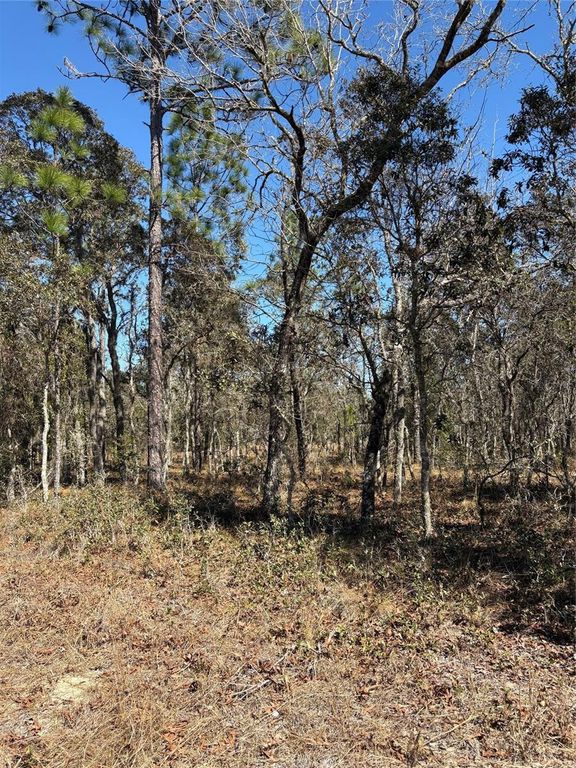 TBA SE 135TH COURT, Dunnellon, FL 34431