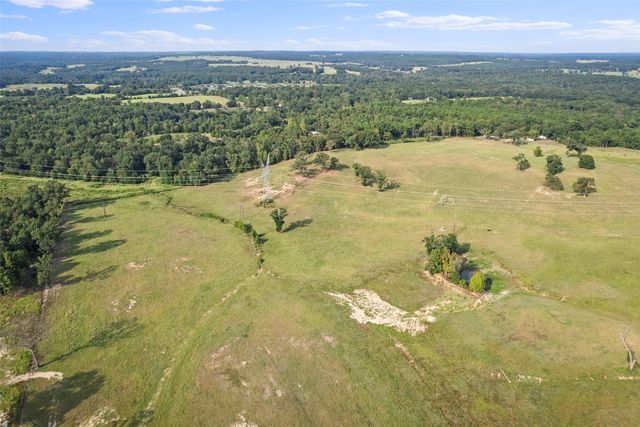 2605 Vz County Road 4923, Ben Wheeler, TX 75754
