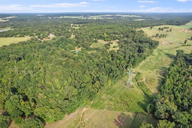 2605 Vz County Road 4923, Ben Wheeler, TX 75754