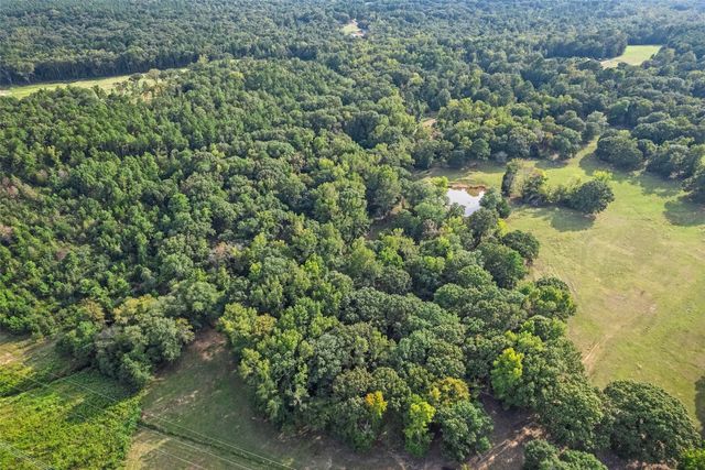 2605 Vz County Road 4923, Ben Wheeler, TX 75754