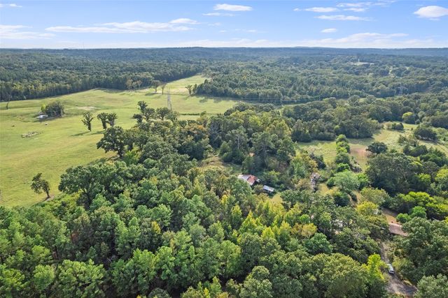 2605 Vz County Road 4923, Ben Wheeler, TX 75754