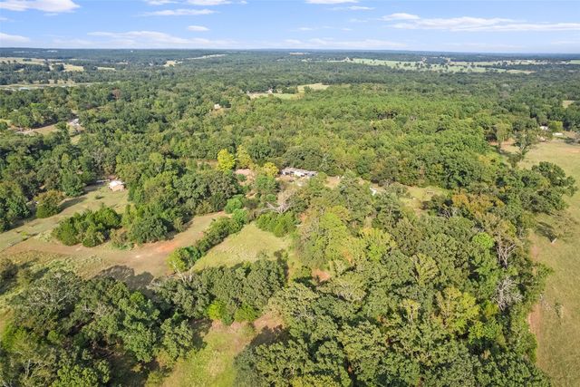 2605 Vz County Road 4923, Ben Wheeler, TX 75754