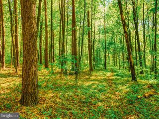 NORTH LAKE DR, Mechanicsville, MD 20659