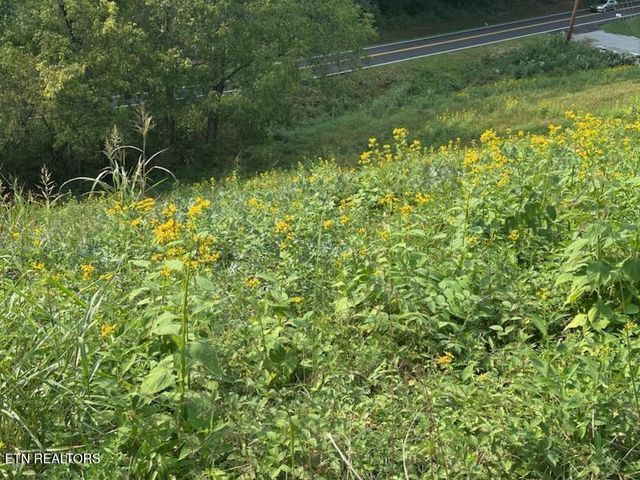 455 Alder Springs Rd, Lafollette, TN 37766