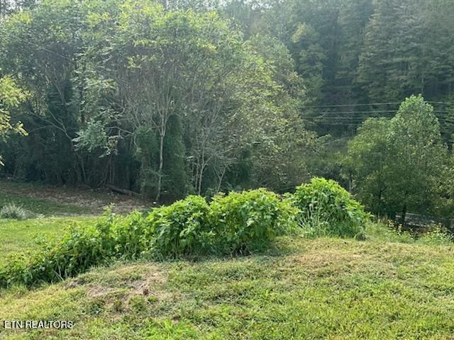 455 Alder Springs Rd, Lafollette, TN 37766