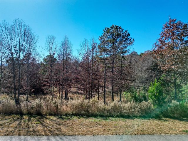 Lt 52-53 Village Loop, Blairsville, GA 30512