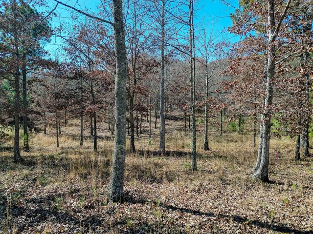 Lt 52-53 Village Loop, Blairsville, GA 30512