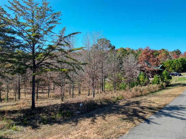 Lt 52-53 Village Loop, Blairsville, GA 30512