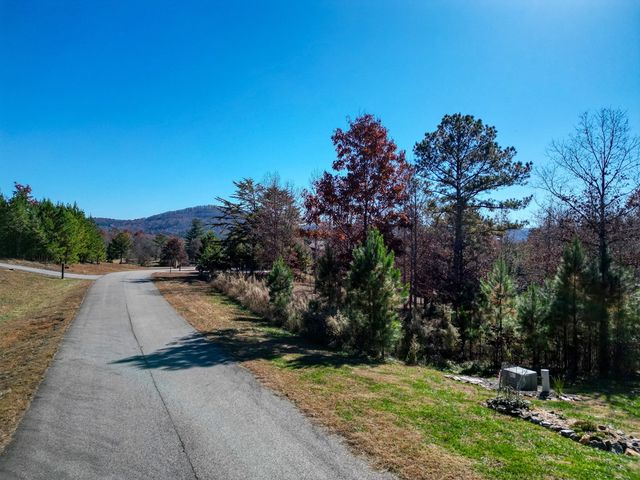 Lt 52-53 Village Loop, Blairsville, GA 30512