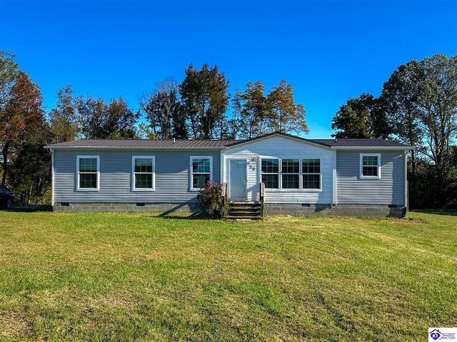 58 Limestone Lane, Rineyville, KY 40162