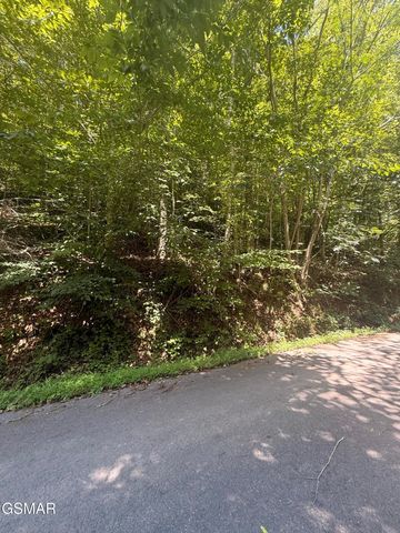 0 Suttons Road, Sevierville, TN 37876