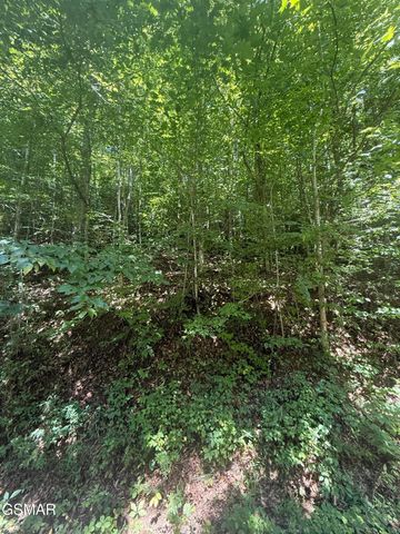 0 Suttons Road, Sevierville, TN 37876