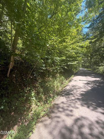 0 Suttons Road, Sevierville, TN 37876