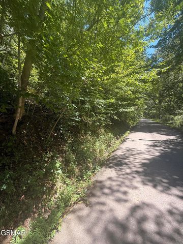 0 Suttons Road, Sevierville, TN 37876