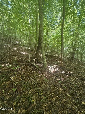 0 Suttons Road, Sevierville, TN 37876
