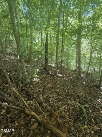 0 Suttons Road, Sevierville, TN 37876