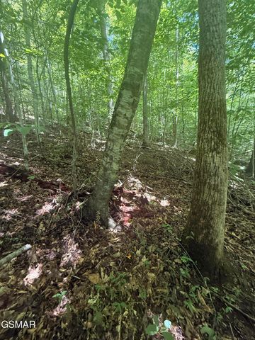 0 Suttons Road, Sevierville, TN 37876