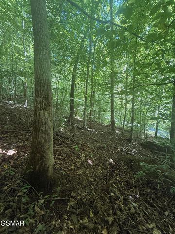 0 Suttons Road, Sevierville, TN 37876