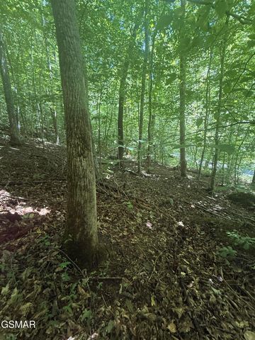 0 Suttons Road, Sevierville, TN 37876