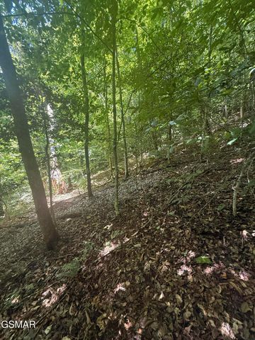 0 Suttons Road, Sevierville, TN 37876