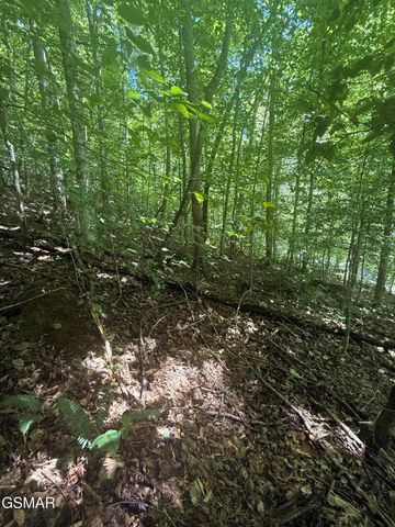 0 Suttons Road, Sevierville, TN 37876