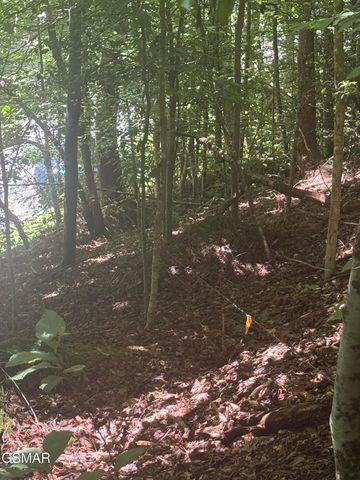 0 Suttons Road, Sevierville, TN 37876