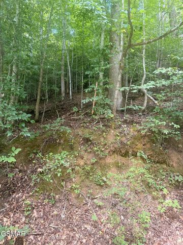 0 Suttons Road, Sevierville, TN 37876