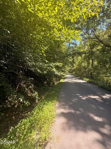 0 Suttons Road, Sevierville, TN 37876