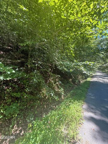 0 Suttons Road, Sevierville, TN 37876