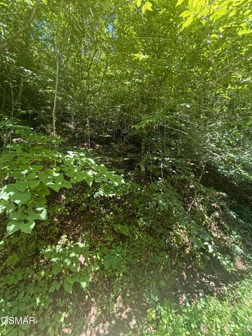 0 Suttons Road, Sevierville, TN 37876