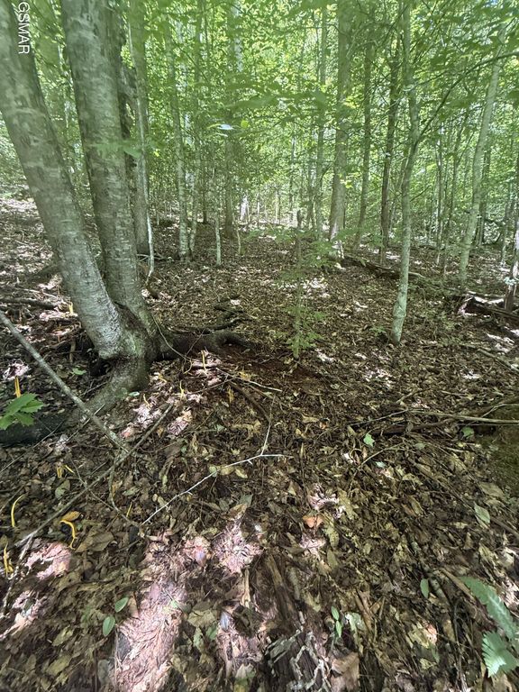 0 Suttons Road, Sevierville, TN 37876