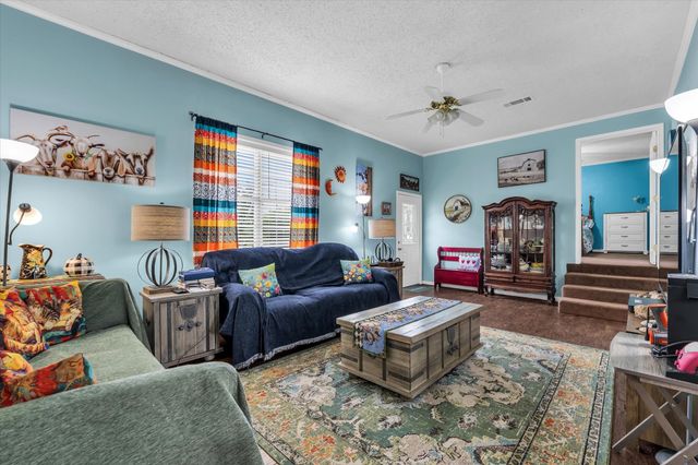 173 County Road 3465, Clifton, TX 76634