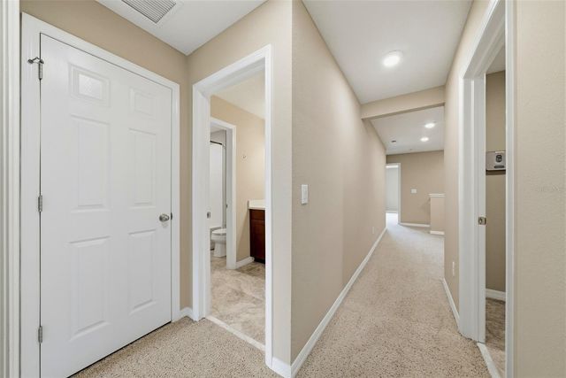 18924 ULMUS STREET, Lutz, FL 33558