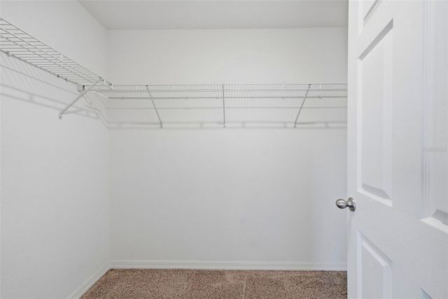 18924 ULMUS STREET, Lutz, FL 33558