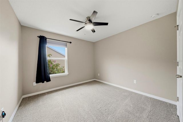 18924 ULMUS STREET, Lutz, FL 33558
