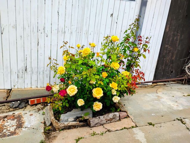 3100 JANET Drive, Amarillo, TX 79109