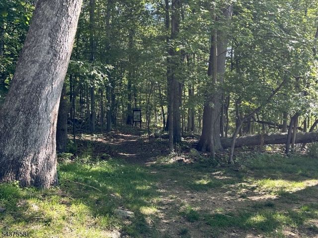 39 Overlook Dr 39, Independence Twp., NJ 07840