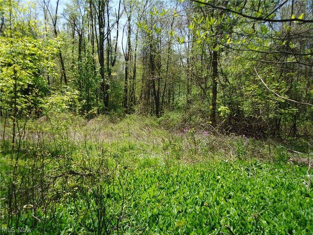 166 W Garwood Drive, Tallmadge, OH 44278