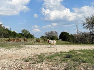 000 River Shoals DR Lot 109, Kempner, TX 76539