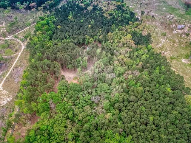 13920 FM 1649, Ore City, TX 75683
