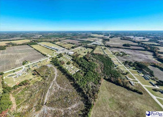 101 andy dr, Darlington, SC 29550