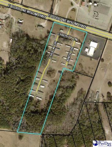 101 andy dr, Darlington, SC 29550